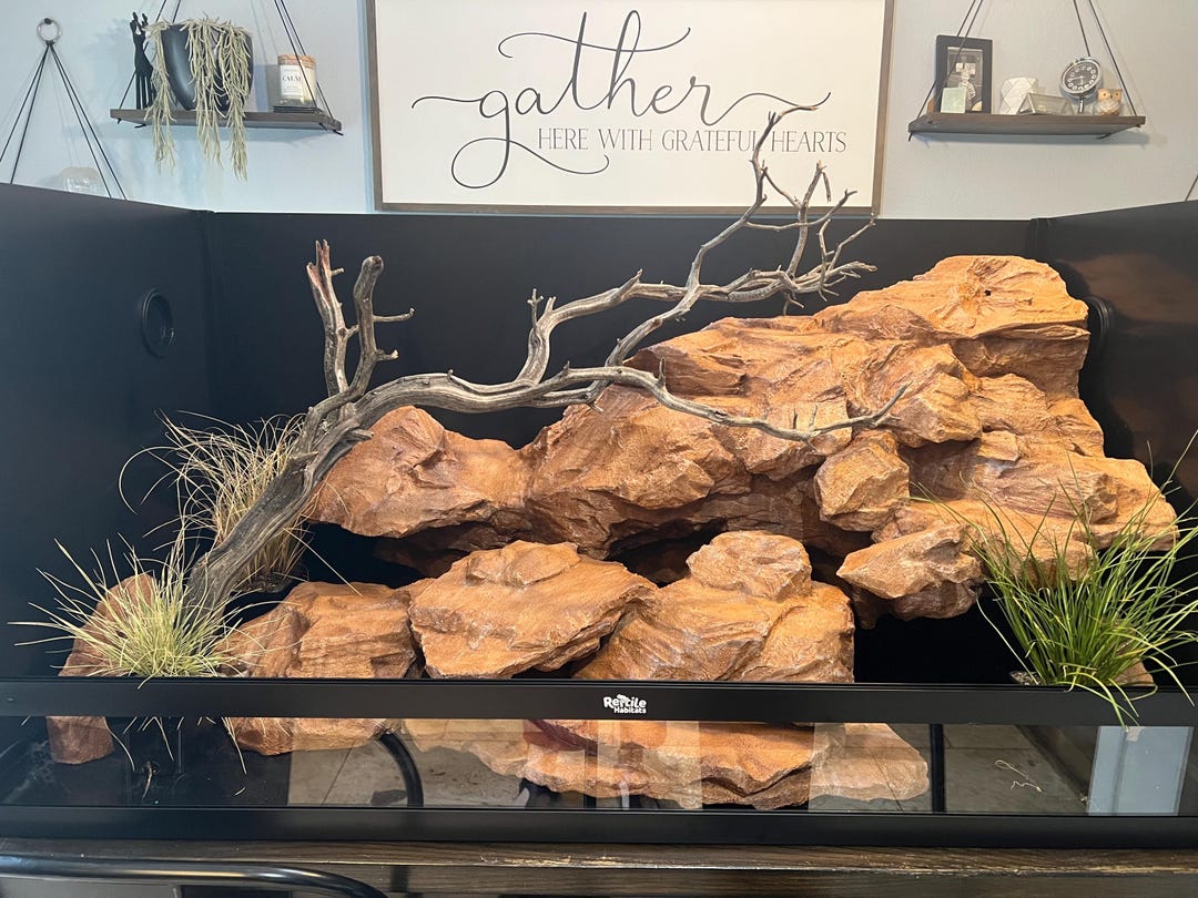Bearded Dragon 4' X 2' X 2'-full Build - Etsy