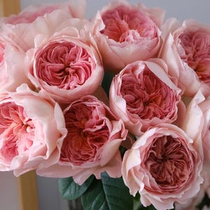 May include: A bouquet of fully bloomed pink roses with a deep rose center. The petals are soft and layered, creating a lush, textured appearance. The arrangement includes green leaves and is in a clear vase.