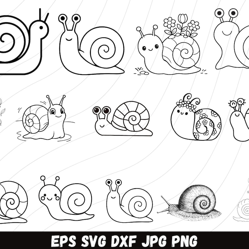 Snail Clipart Images - Etsy