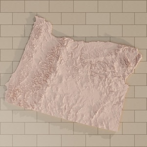 May include: A three-dimensional relief map of the state of Oregon, rendered in a monochromatic light beige tone. The surface features detailed topographical textures representing mountain ranges, valleys, and plateaus across the state's geography.