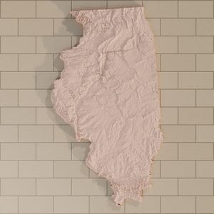 Op de afbeelding: Een lichtroze, driedimensionale reliëfkaart van de staat Illinois. Het oppervlak is voorzien van gedetailleerde topografische texturen die het terrein weergeven, inclusief subtiele verhogingen en depressies over de gehele geografische vorm.