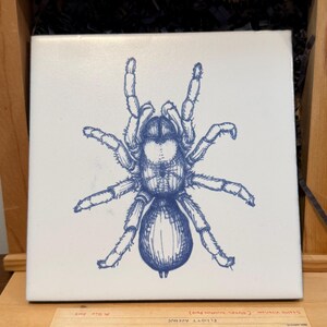 May include: A white square tile with a blue illustration of a tarantula. The tile is displayed in a wooden frame. A vintage map is visible in the foreground.