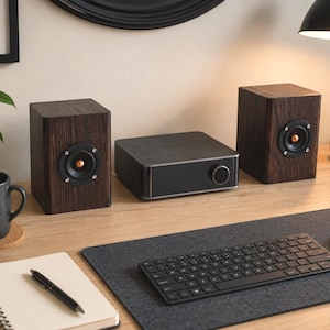 May include: A desktop audio system featuring two dark wood-grain speakers with black circular drivers and copper-colored center cones, positioned on either side of a rectangular black amplifier unit with a single silver volume control knob.