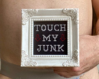 Touch My Junk - framed cross stitch