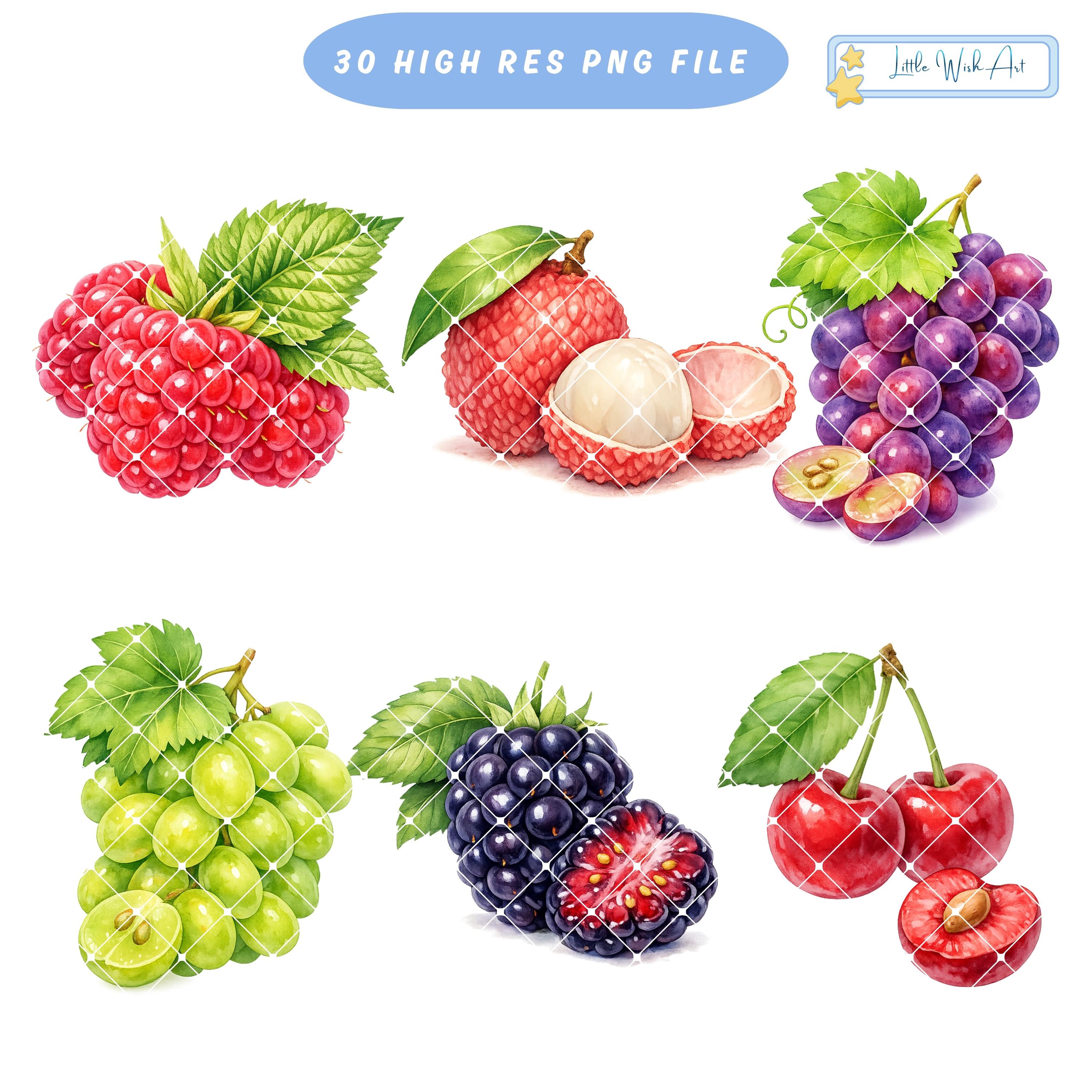 Fruit Clipart Bundle – 30 Watercolor Botanical Fruits, Fresh Food ...