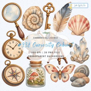 Può includere: Una collezione di illustrazioni ad acquerello che include una lente d'ingrandimento, un fossile di ammonite, una chiave antica, una piuma, una conchiglia, un orologio da taschino, un mappamondo, un telescopio, cristalli, una bussola, un barattolo con funghi, una farfalla e pietre.