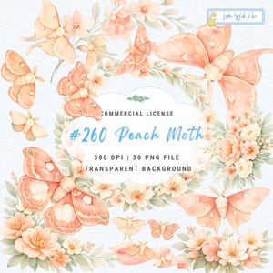 May include: A digital collection of peach-coloured moth illustrations and floral arrangements. The text reads: Little Wish Art, COMMERCIAL LICENSE, #260 Peach Moth, 300 DPI | 30 PNG FILE, TRANSPARENT BACKGROUND. These watercolour-style graphics feature soft orange hues.