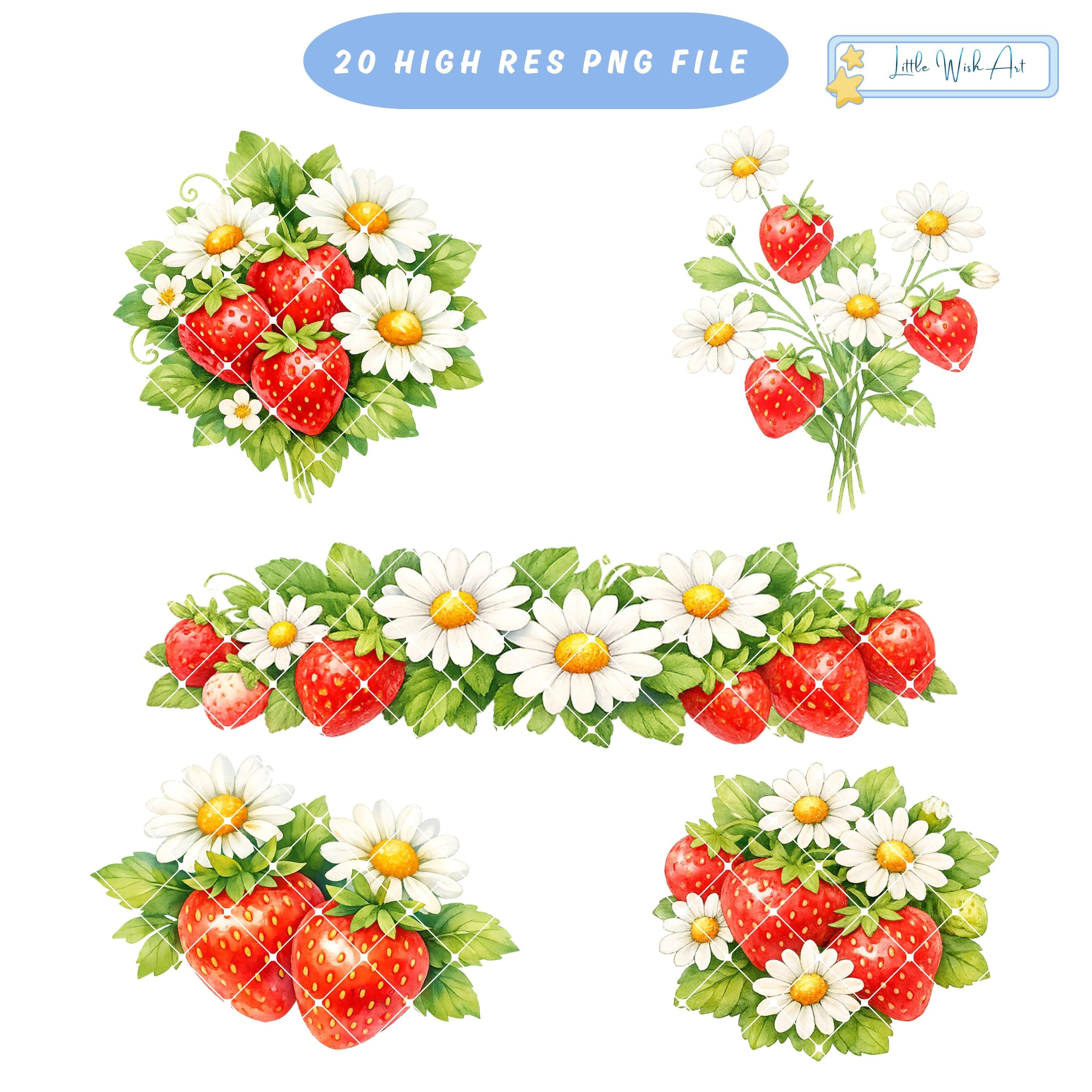 Strawberry Daisy Clipart Bundle – 20 Watercolor Strawberry Floral ...