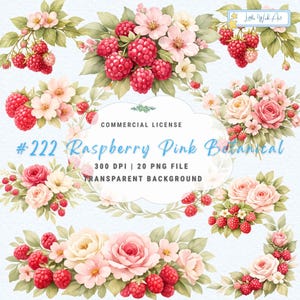 May include: A digital collection of botanical illustrations featuring clusters of pink roses, white blossoms, and red raspberries with green leaves. The text reads #222 Raspberry Pink Botanical, Commercial License, 300 DPI, 20 PNG File, Transparent Background.