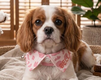 Collar para perro con nombre personalizado, nombre bordado, regalo conmemorativo para mascotas, regalos para perros, collar para cachorros, artículos para mascotas, collar para gatos