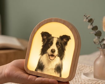 Lámpara LED personalizada para mascotas / Regalo por la pérdida de un perro / Luz nocturna personalizada con retrato de gato / Luz de condolencias para mascotas