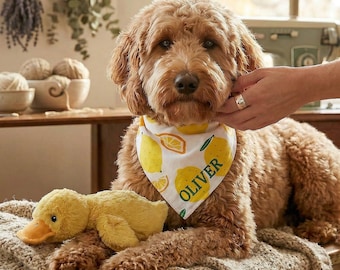 Pañuelo personalizado para perro con nombre, babero personalizado para mascota, pañuelo bordado para cachorro, regalo para el Día de la Madre para perros, regalo para mamás perrunas