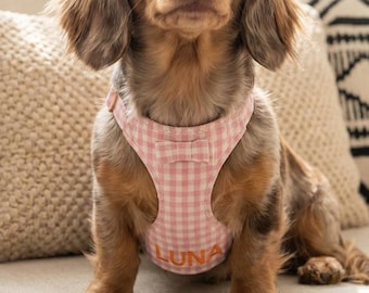 Personalisiertes Hundegeschirr und Leinen-Set, benutzerdefinierte Welpenweste, gesticktes Gingham-Haustiergeschirr, neues Welpengeschenk, kleines Hundespaziergang-Zubehör