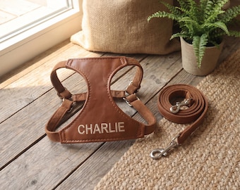 Chaleco de cuero vegano con nombre personalizado, arnés personalizado para perro, accesorios minimalistas para cachorros, accesorios de lujo para gatos, regalo para el día de la adopción.