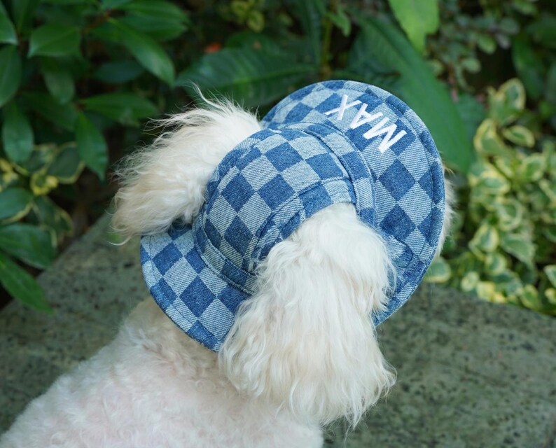 Custom Pet Hat, Embroidered Dog Name Cap, Personalized Cat Hat, Dog Sun Hat, Gift for Pet Lover, Puppy Accessory Gift image 3
