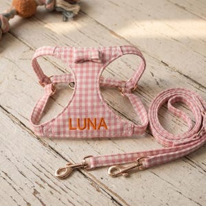 May include: Pink and white gingham dog harness and leash set. The harness has the name "LUNA" embroidered in orange thread. The leash is rolled up next to the harness. Gold-colored metal hardware is used on the harness and leash.