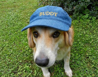 Gorro vaquero personalizado para perro, visera personalizada para mascota, gorra de béisbol bordada para gato, moda veraniega para cachorros, regalo para perros de playa