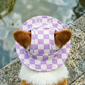 May include: A dog wearing a purple and white checkered visor with the name "LUNA" embroidered on the front. The dog's brown ears are visible, peeking out from the sides of the visor. The dog is standing near a body of water.