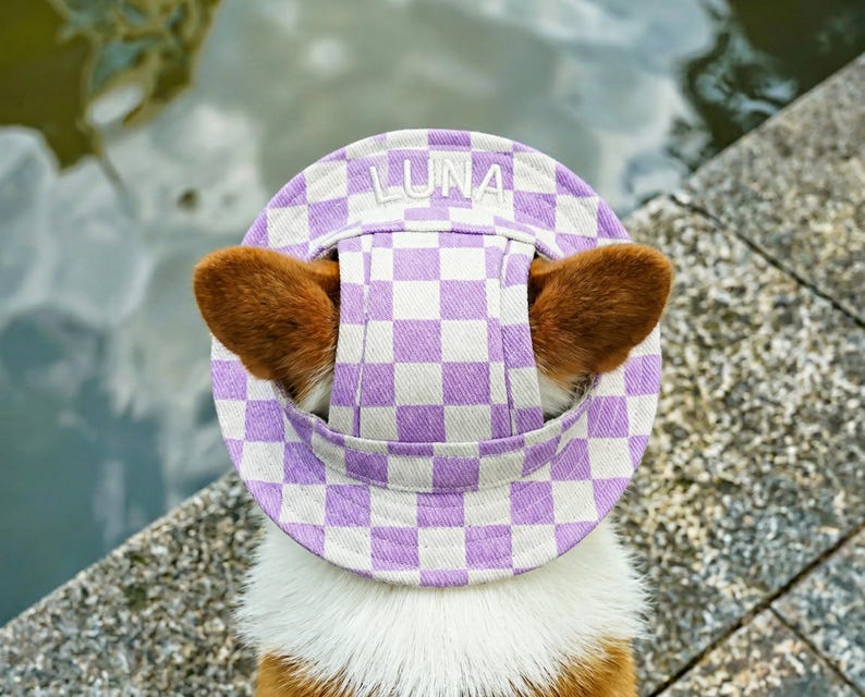 May include: A dog wearing a purple and white checkered visor with the name "LUNA" embroidered on the front. The dog's brown ears are visible, peeking out from the sides of the visor. The dog is standing near a body of water.