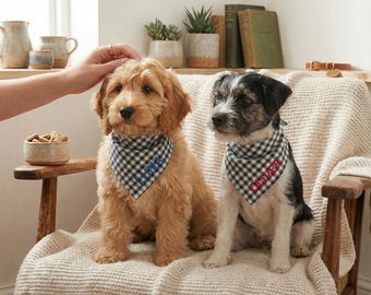 Pañuelo personalizado para perro con nombre, babero personalizado para mascota, pañuelo bordado para cachorro, regalo para baby shower de cachorro, babero para perro