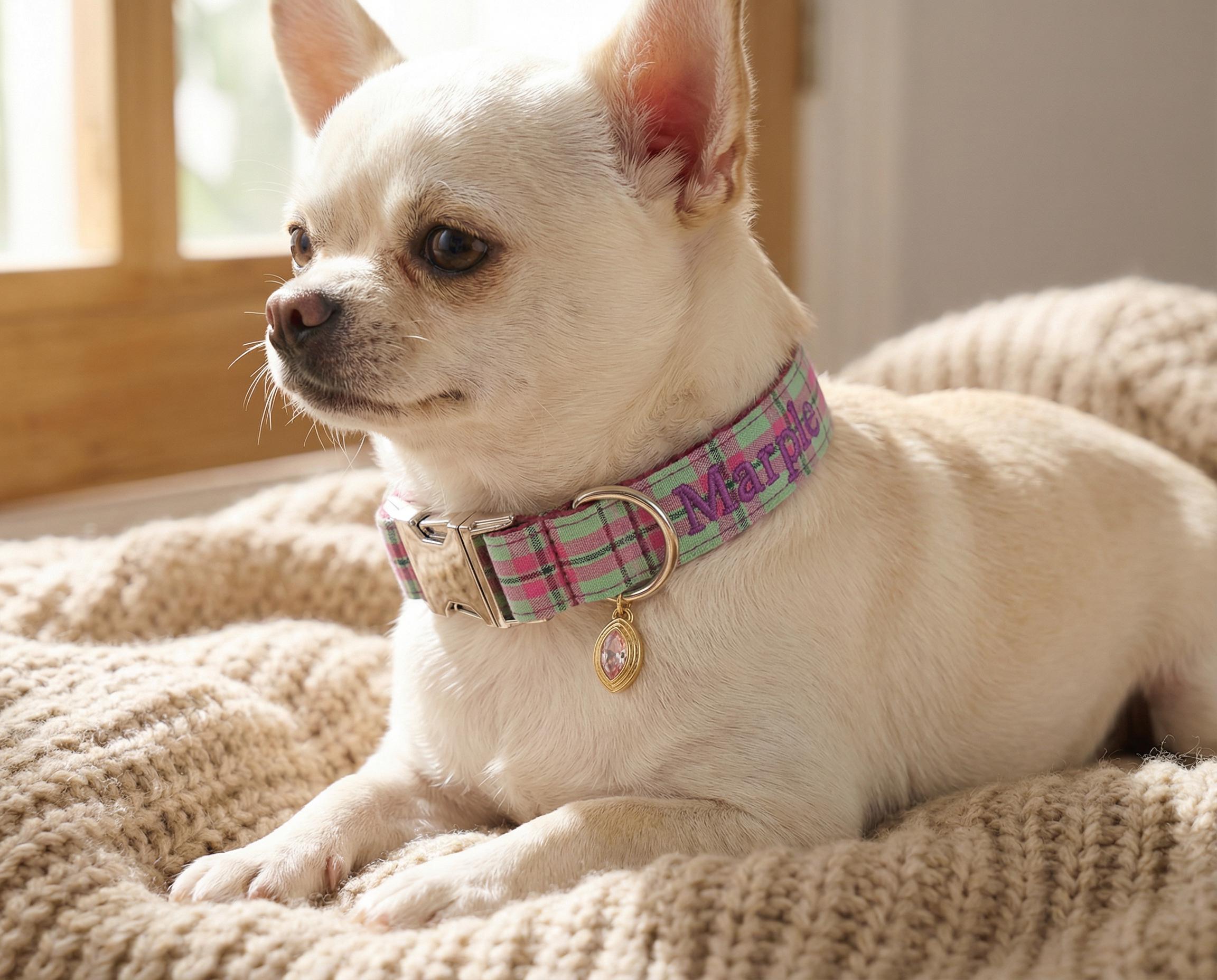 Besticktes hundehalsband - Etsy.de