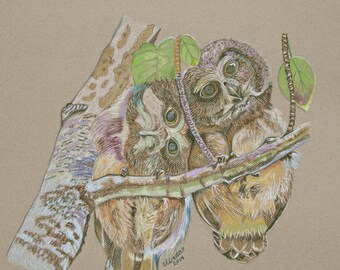 Art Print Owl Babies