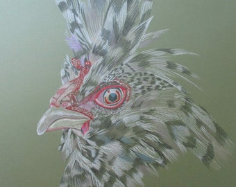 Punk Rock Chicken original drawing fancy butt chicken colored pencil