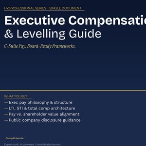 Executive Compensation and Levelling Framework for Compensation Professionals