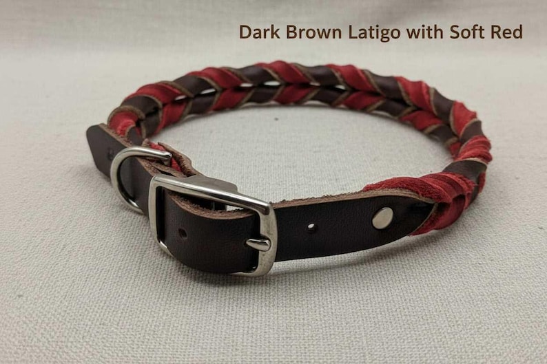 May include: A braided collar featuring dark brown latigo leather and soft red leather strands. The collar includes a silver-toned metal buckle, a D-ring, and a single metal rivet. The text Dark Brown Latigo with Soft Red is visible.