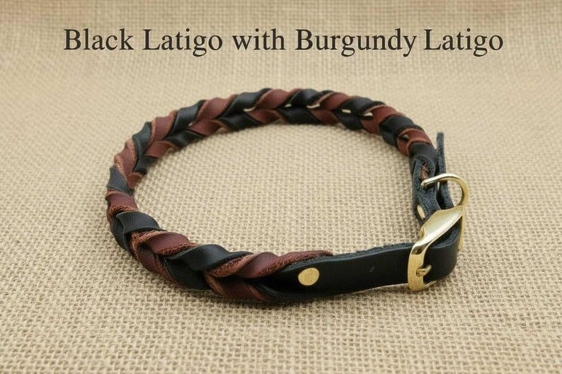 May include: A braided collar featuring black and burgundy latigo leather strands. The collar includes a gold-toned metal buckle and a single gold-toned rivet. The text Black Latigo with Burgundy Latigo is visible above the collar.