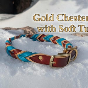 May include: A braided leather collar featuring alternating strands of chestnut brown and turquoise blue. The collar includes a gold-toned metal buckle and D-ring hardware. The text "Gold Chestnut with Soft Turq" is displayed above the collar.