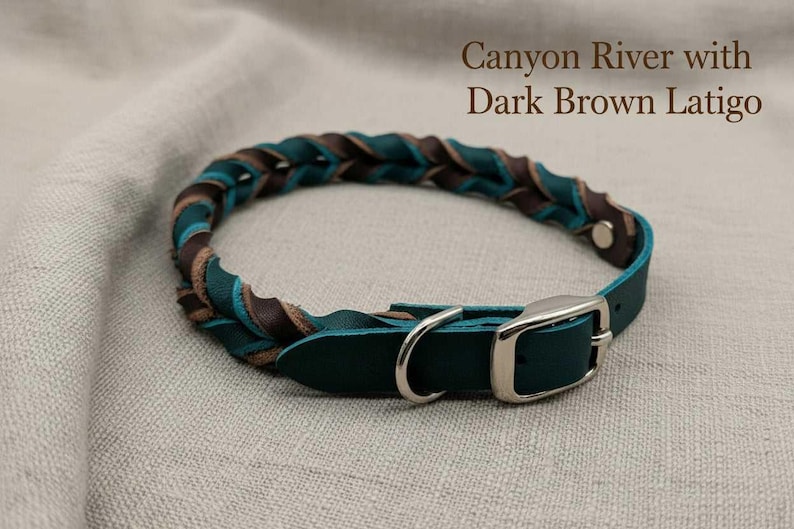 May include: A braided leather collar featuring teal and dark brown strands, labeled Canyon River with Dark Brown Latigo. The collar includes a silver-toned metal buckle and a D-ring attachment for secure fastening, showcasing a woven design.