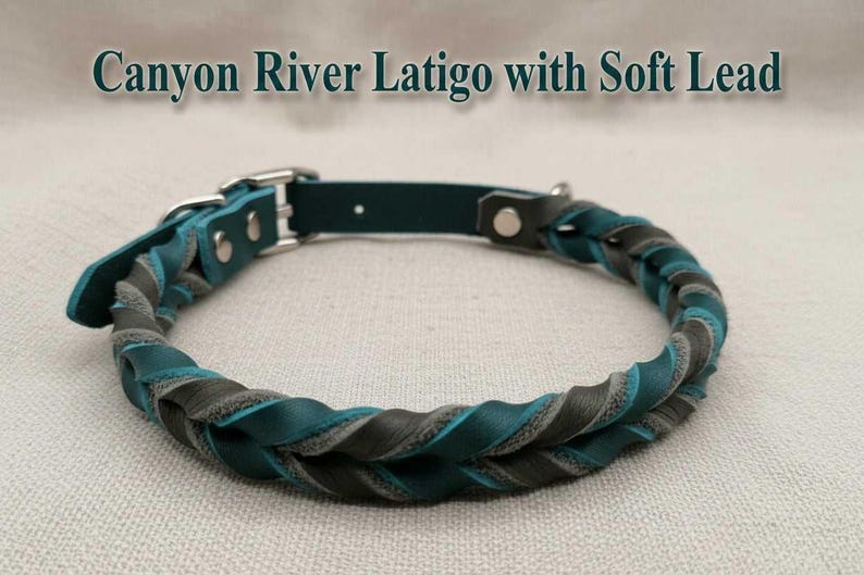 Braided Leather Buckle Collar image 5