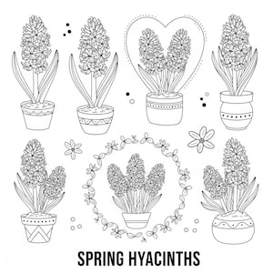 Puede incluir: Ilustración en blanco y negro de jacintos de primavera en varias macetas y arreglos. La imagen incluye varios jacintos en macetas, un arreglo en forma de corazón y una corona floral. El texto "SPRING HYACINTHS" está en la parte inferior.