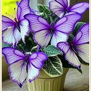Puede incluir: Un arreglo decorativo de mariposas artificiales en una maceta pequeña de color verde claro. Las mariposas tienen alas moradas y blancas, y la maceta tiene un diseño acanalado. Hojas verdes intercaladas.