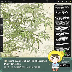 Op de afbeelding: Digitale kunstpenselen voor Procreate met 34 tweekleurige omtrekplantpenselen. De afbeelding toont een bamboeplantontwerp met groene bladeren en stengels. De tekst luidt "34 Dual-color Outline Plant Brushes" en "Plant Brushes".