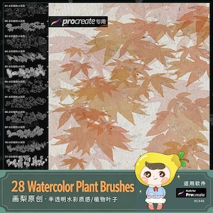 Può includere: Un set digitale di 28 pennelli per piante ad acquerello per Procreate, con una barra laterale con undici anteprime di disegni al tratto in bianco e nero e un'area principale che mostra illustrazioni di foglie d'acero arancioni e marroni su sfondo strutturato.