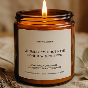 May include: A lit candle in an amber glass jar with a white label reading Ambervia Candles, LITERALLY COULDN'T HAVE DONE IT WITHOUT YOU, and WARNING: YOU'RE MORE APPRECIATED THAN YOU REALIZE, plus Coconut-apricot wax | Cotton wick | Handmade in USA.