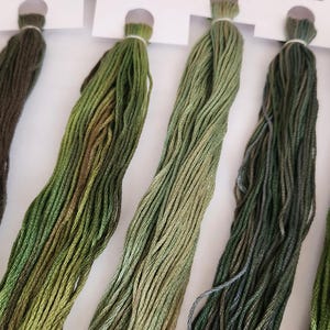 Five Variegated Greens from previous sets. 5 skeins, 20 yards each. 100 yds total