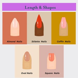 May include: An illustration showcasing different nail shapes: almond, stiletto, coffin, oval, and square. Each nail is depicted with a different color and style, with the names of each shape displayed below.
