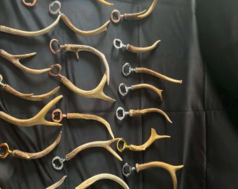 Antler bottle opener