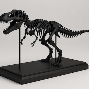Peut inclure: Un modèle de squelette de Tyrannosaurus Rex noir exposé sur une base rectangulaire noire. Le squelette du dinosaure est détaillé, avec des côtes, une colonne vertébrale et un crâne visibles. Le modèle est soutenu par une fine tige noire.