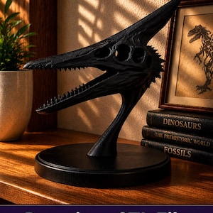 Pteranodon Skull STL – Flying Dinosaur Bust 3D Model – 3D Printable Fossil Statue – Jurassic Decor – Instant Download