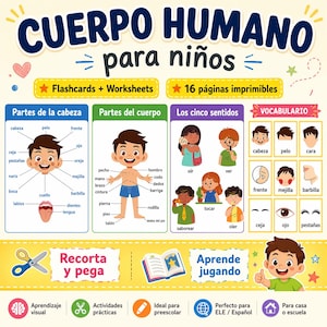 Puede incluir: Tarjetas didácticas y hojas de trabajo educativas en español para niños. El gráfico colorido ilustra el cuerpo humano, sus partes y los cinco sentidos. Incluye vocabulario y actividades. El texto dice "CUERPO HUMANO para niños".