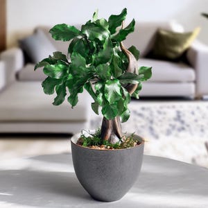 Mini Bonsai Tree in Gray Ceramic Pot, Zen Desk Decor, Japandi Office Gift, No Care Bonsai, Handmade Shelf Accent