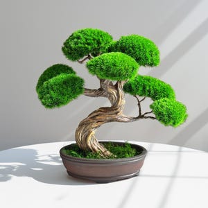 Bonsai met geconserveerd mos, watervrije bonsai in keramische pot, kleine bureauplant, decor Zen Japandi, cadeau voor haar