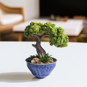 Puede incluir: Una escultura de bonsái en miniatura con un tronco curvo de color marrón oscuro y follaje texturizado de color verde vibrante. El árbol está plantado en un pequeño cuenco de cerámica azul profundo, redondo y con esmalte moteado, lleno de piedras y musgo verde.