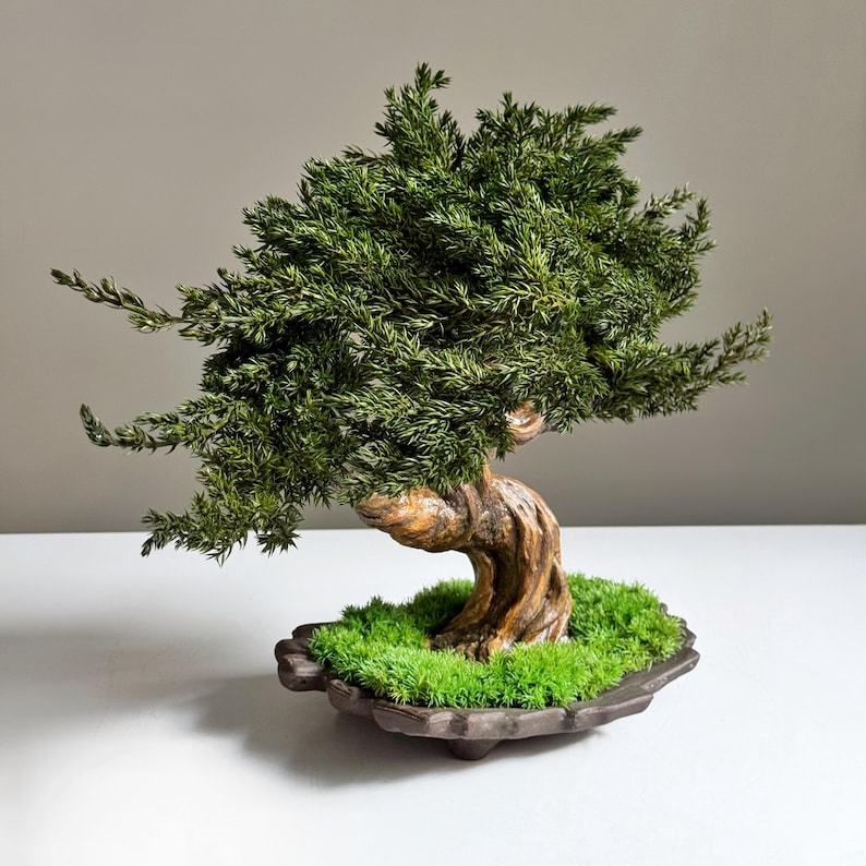 Op de afbeelding: Een miniatuur bonsai-boom met een gedraaide, verouderde stam en levendig groen gebladerte. De boom staat in een donkerbruine, decoratieve pot gevuld met heldergroen mos. De takken van de bonsai strekken zich sierlijk uit en cre&euml;ren een natuurlijke, artistieke weergave.