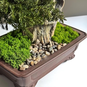 May include: A miniature bonsai tree in a brown rectangular pot. The tree has a textured trunk, green foliage, and is surrounded by green moss and small pebbles. The pot has decorative feet.