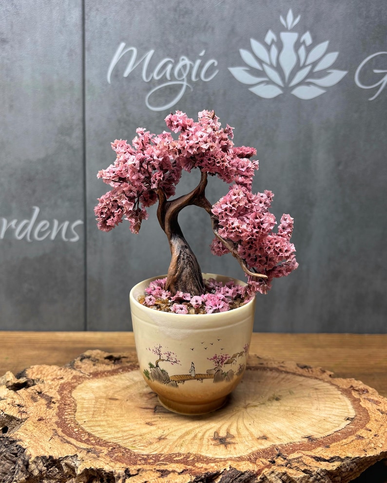 Sakura Mini Mini Sakura Bonsai Tree in Hand-painted Ceramic Pot | Maintenance-free ...